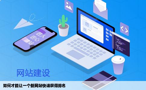 如何才能让一个新网站快速获得排名