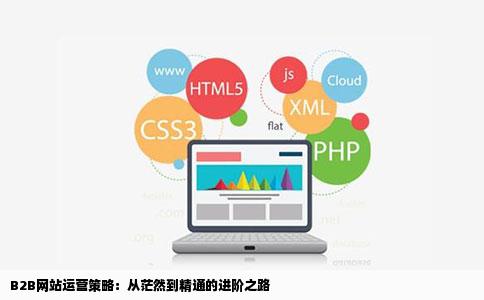 B2B网站运营策略：从茫然到精通的进阶之路