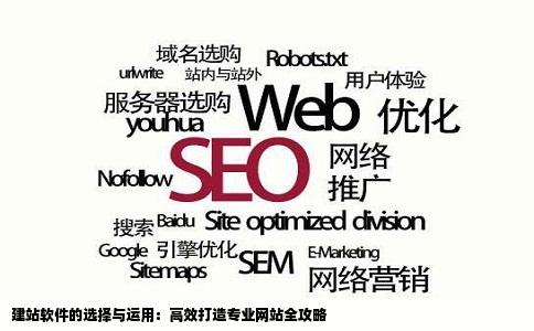 建站软件的选择与运用：高效打造专业网站全攻略
