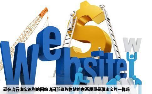 现在流行淘宝返利的网站请问那些购物站的东西质量是和淘宝的一样吗