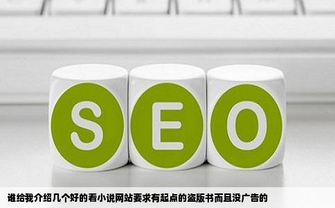 谁给我介绍几个好的看小说网站要求有起点的盗版书而且没广告的