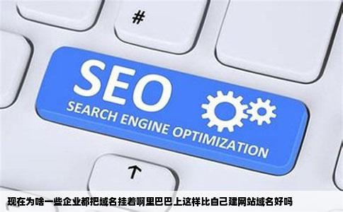 现在为啥一些企业都把域名挂着啊里巴巴上这样比自己建网站域名好吗