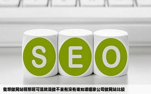 我想做网站啊想啊可是就是做不来有没有谁知道哪家公司做网站比较