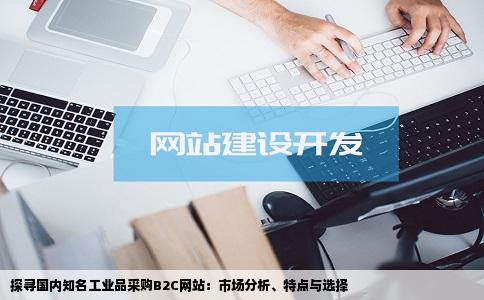 探寻国内知名工业品采购B2C网站：市场分析、特点与选择