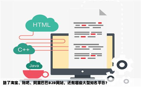 除了淘宝、贴吧、阿里巴巴B2B网站，还有哪些大型知名平台？