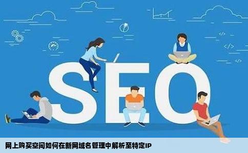 网上购买空间如何在新网域名管理中解析至特定IP