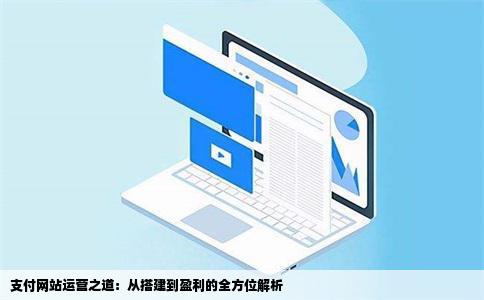 支付网站运营之道：从搭建到盈利的全方位解析