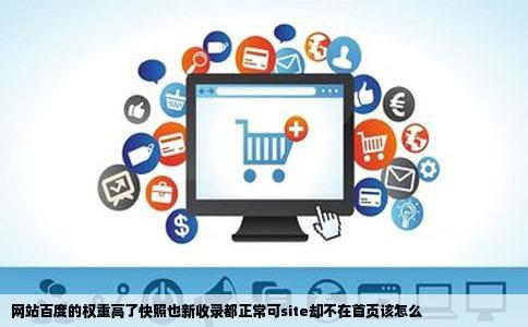 网站百度的权重高了快照也新收录都正常可site却不在首页该怎么