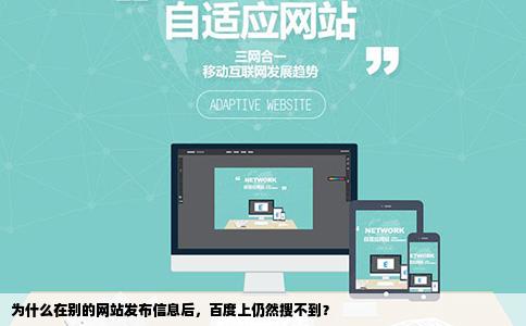 为什么在别的网站发布信息后，百度上仍然搜不到？