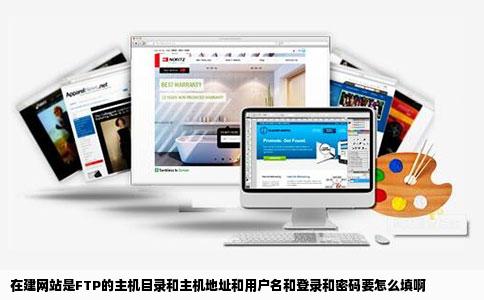 在建网站是FTP的主机目录和主机地址和用户名和登录和密码要怎么填啊