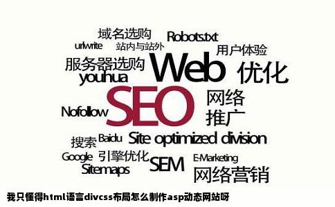 我只懂得html语言divcss布局怎么制作asp动态网站呀