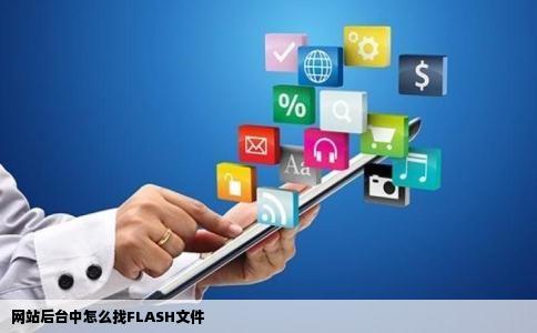 网站后台中怎么找FLASH文件