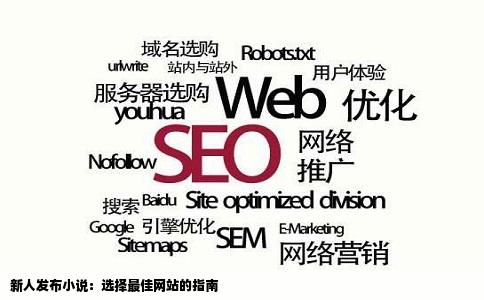 新人发布小说：选择最佳网站的指南