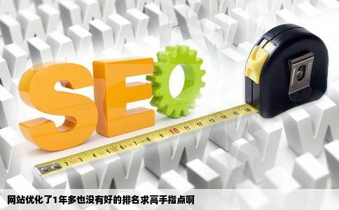 网站优化了1年多也没有好的排名求高手指点啊