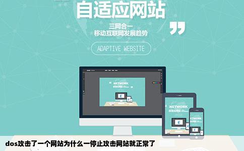 dos攻击了一个网站为什么一停止攻击网站就正常了