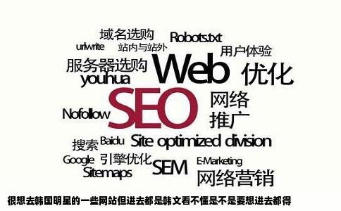 很想去韩国明星的一些网站但进去都是韩文看不懂是不是要想进去都得