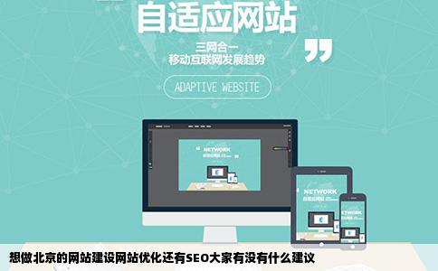 想做北京的网站建设网站优化还有SEO大家有没有什么建议