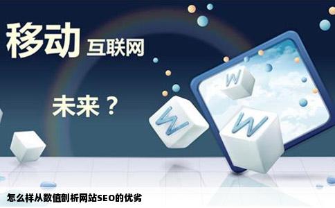 怎么样从数值剖析网站SEO的优劣