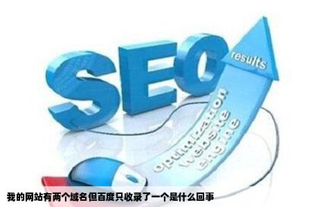 我的网站有两个域名但百度只收录了一个是什么回事