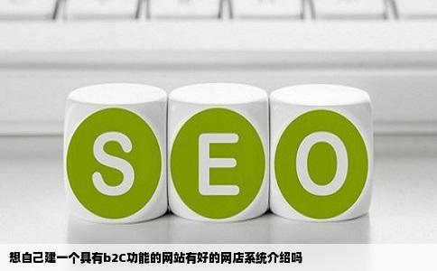想自己建一个具有b2C功能的网站有好的网店系统介绍吗