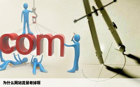 为什么网站流量老掉啊